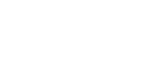 logo_netsharqs_white_standard_L_300px