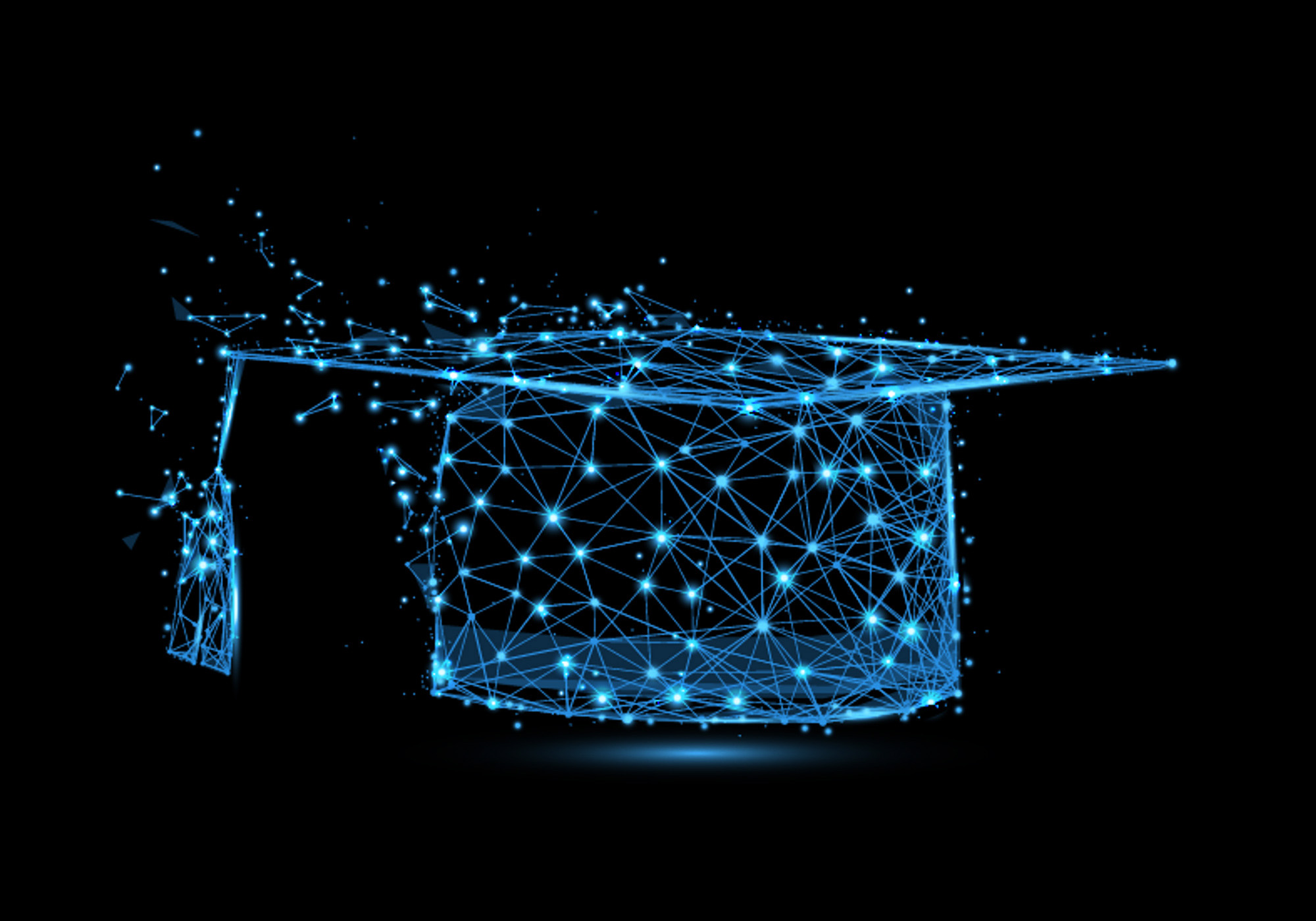 Studium bei Netsharqs